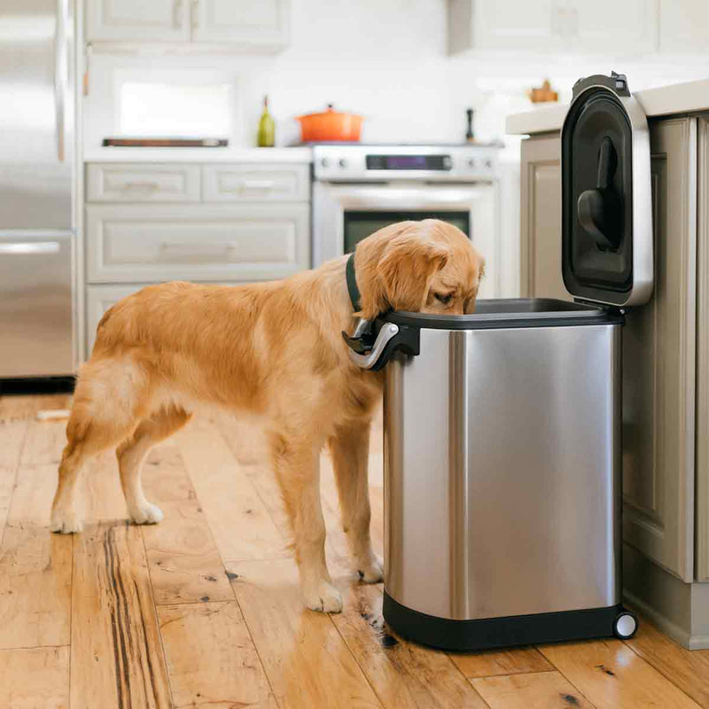 Recipiente Hermético Grande para Ração – SimpleClean