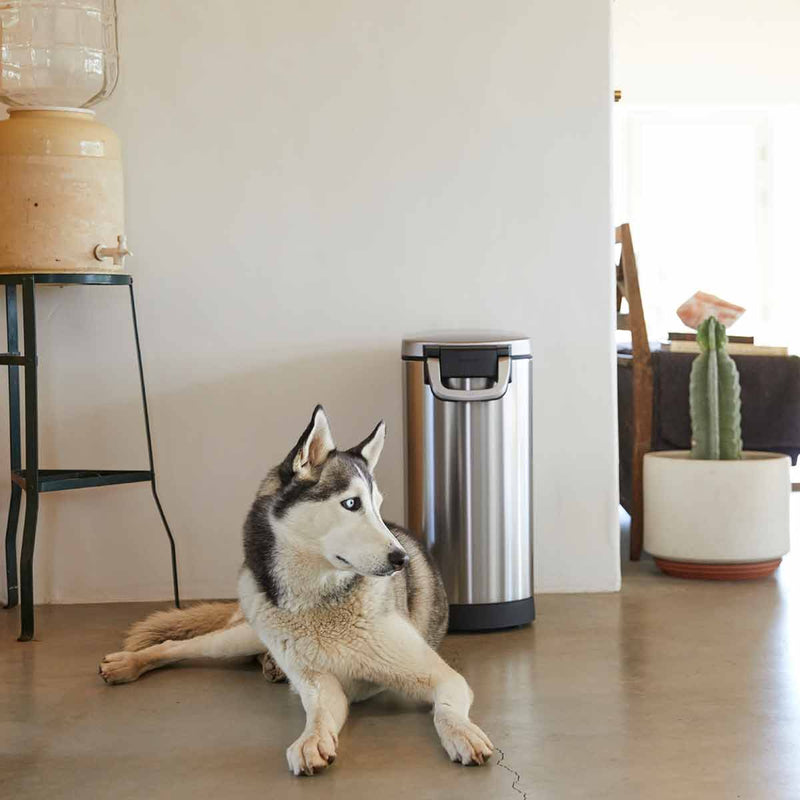 Recipiente Hermético Grande para Ração – SimpleClean